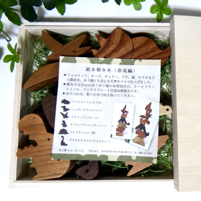 銘木積み木☆恐竜編(桐箱セット)