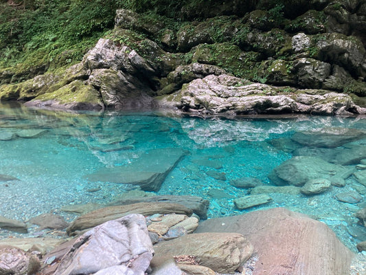 仁淀川の水たまりを見て、高知に住みたいと思った話