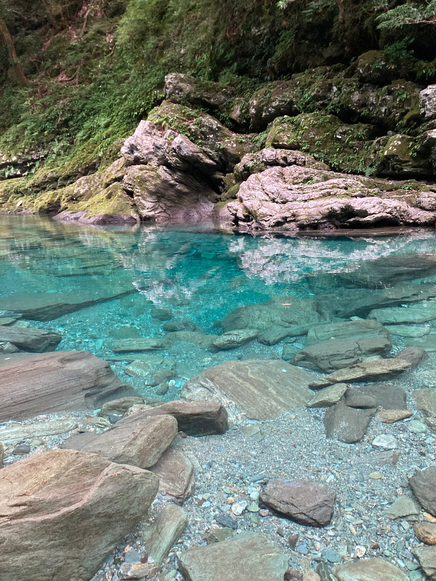 ひのきの妖精ひのここ（3体）⭐️ひのき精油セット